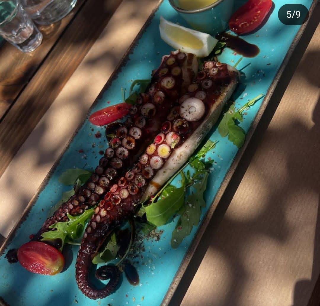 Grilled octopus on a turquoise plate